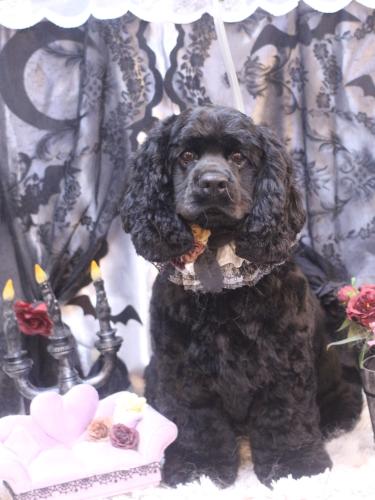 20231026天ちゃん